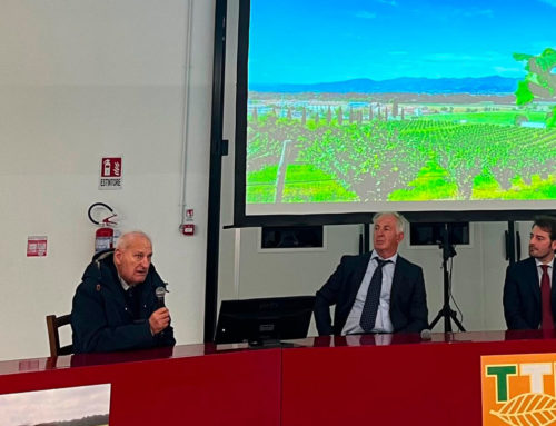 La filiera corilicola umbra compie un passo avanti decisivo. Co.Agri.A protagonista a Città di Castello