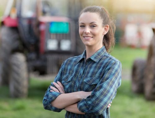 Ricambio generazionale e formazione, le priorità per il futuro del settore