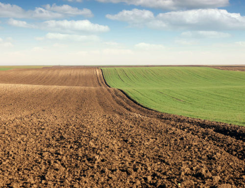 Sviluppo rurale: le regioni attivano nuove misure di sostegno