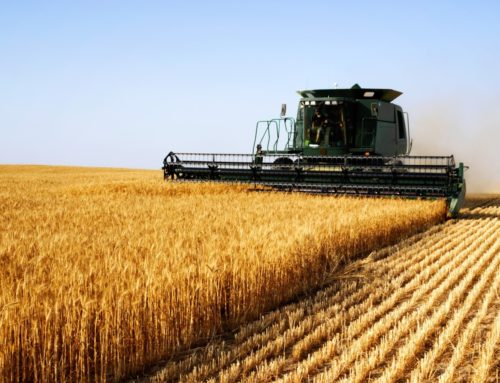 Opportunità europee per lo sviluppo rurale e agricoltura sostenibile