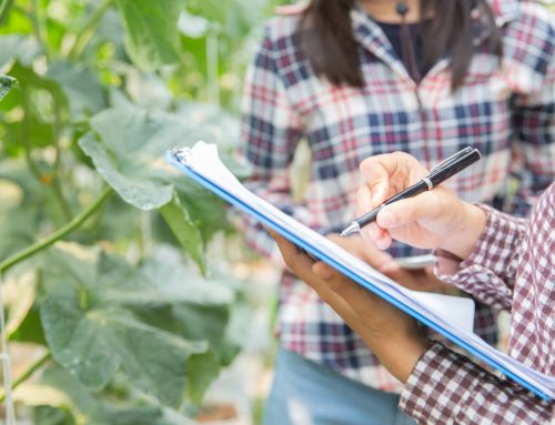 Consulenza agronomica: un supporto strategico per le aziende