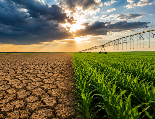 Cambiamenti climatici: le nuove sfide per gli agricoltori